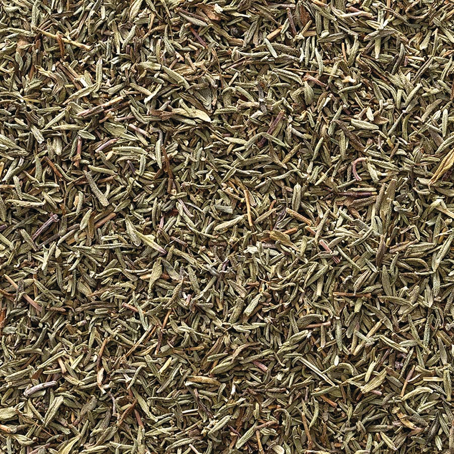 FNP075 | loose dried thyme leaves scattered close-up