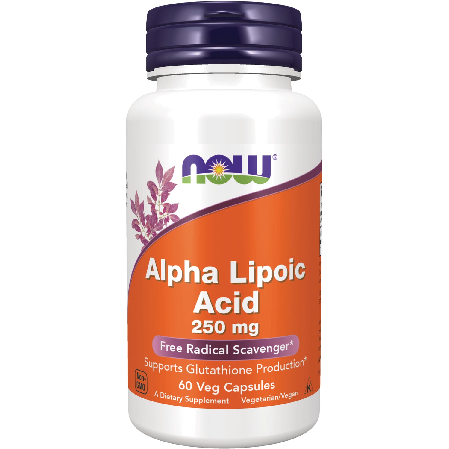 NWF020 | NOW Alpha Lipoic Acid 250 mg supplement bottle with orange label and purple cap, 60 veg capsules