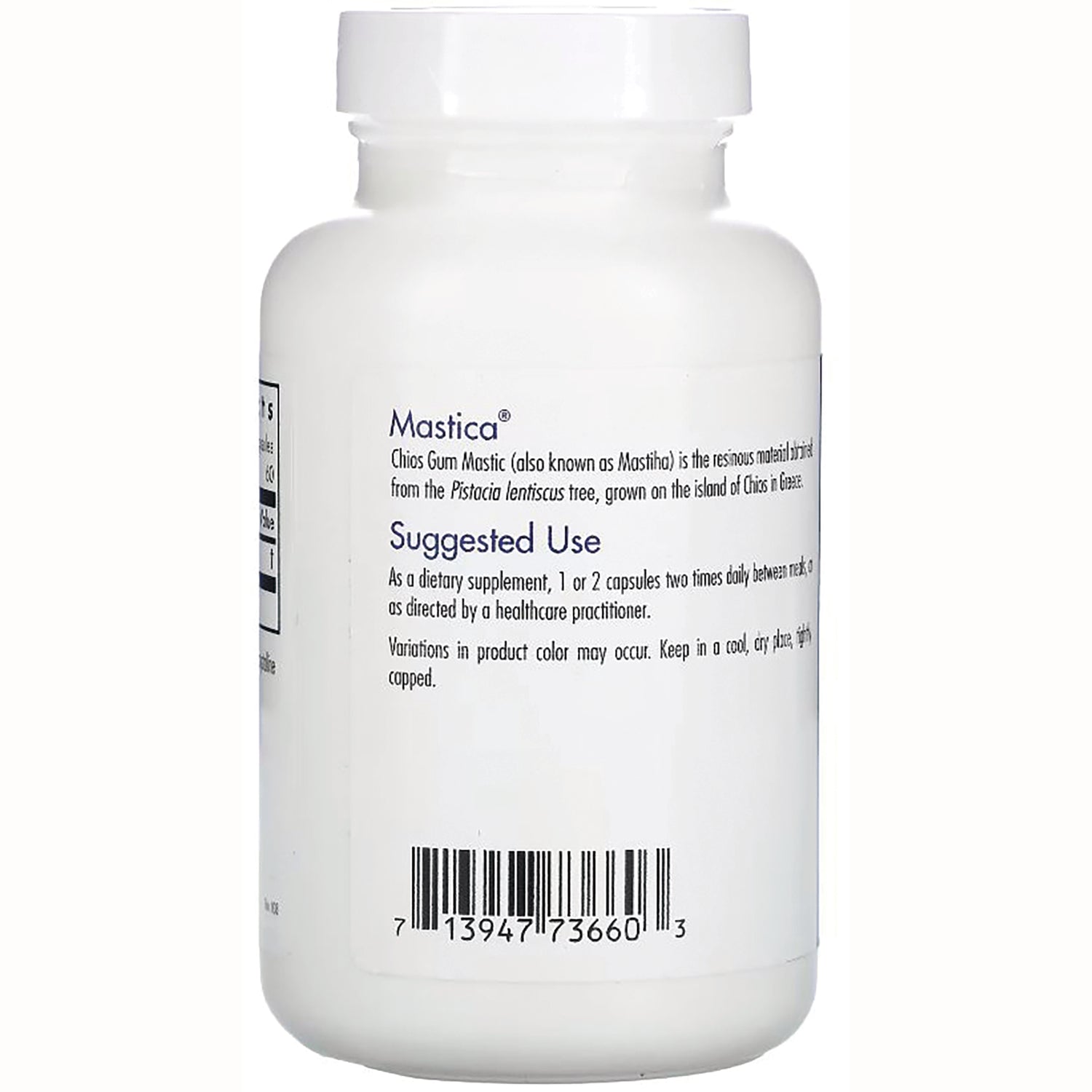 ARG020 | Bottle back label showing Mastica suggested use directions and barcode