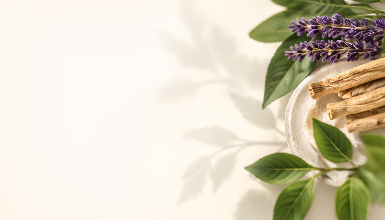 A styled flat-lay of dried cinnamon sticks in a small white dish alongside green leaves and purple lavender sprigs on a warm off-white background with soft leaf shadows.