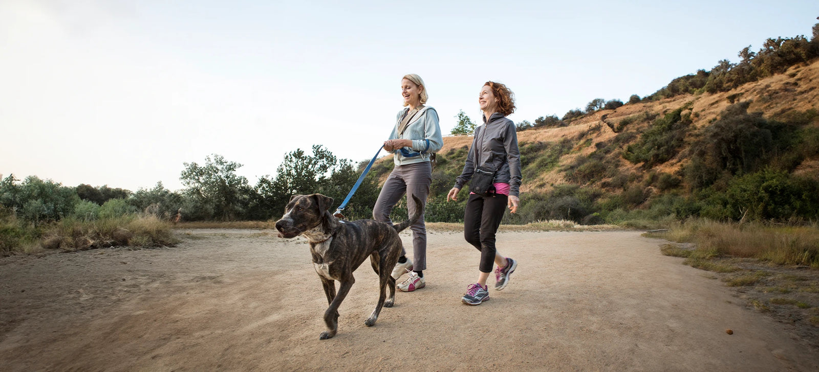 Two healthy middle-aged women walking a gray dog on a nature trail
