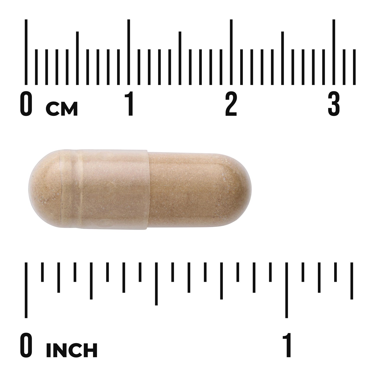 SWH178 | Tan capsule shown to scale with ruler in cm and inches