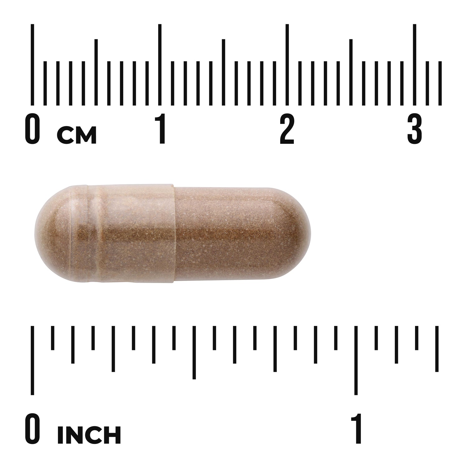 SWH097 | Brown capsule with size scale in centimeters and inches