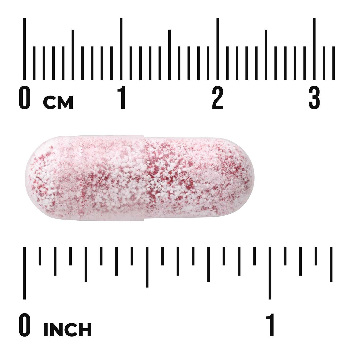 SW1922 | Pink speckled capsule against rulers showing approximate size: about 1 inch / 3 cm