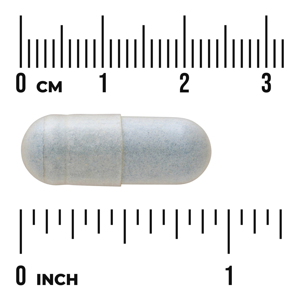 SWU801 | Gray oval capsule on metric and inch rulers showing about 2.5 cm (1 inch) length - Thumbnail