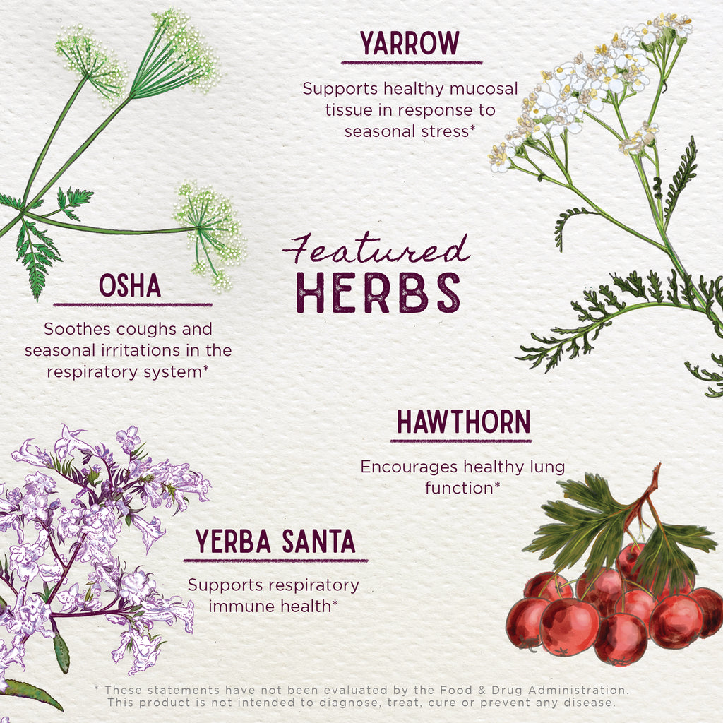 WGH002 | Featured Herbs: Yarrow, Osha, Hawthorn, Yerba Santa with respiratory and lung support claims - Thumbnail