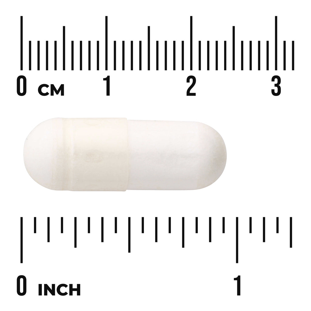 SWU1020 | White capsule beside centimeter and inch rulers showing size - Thumbnail