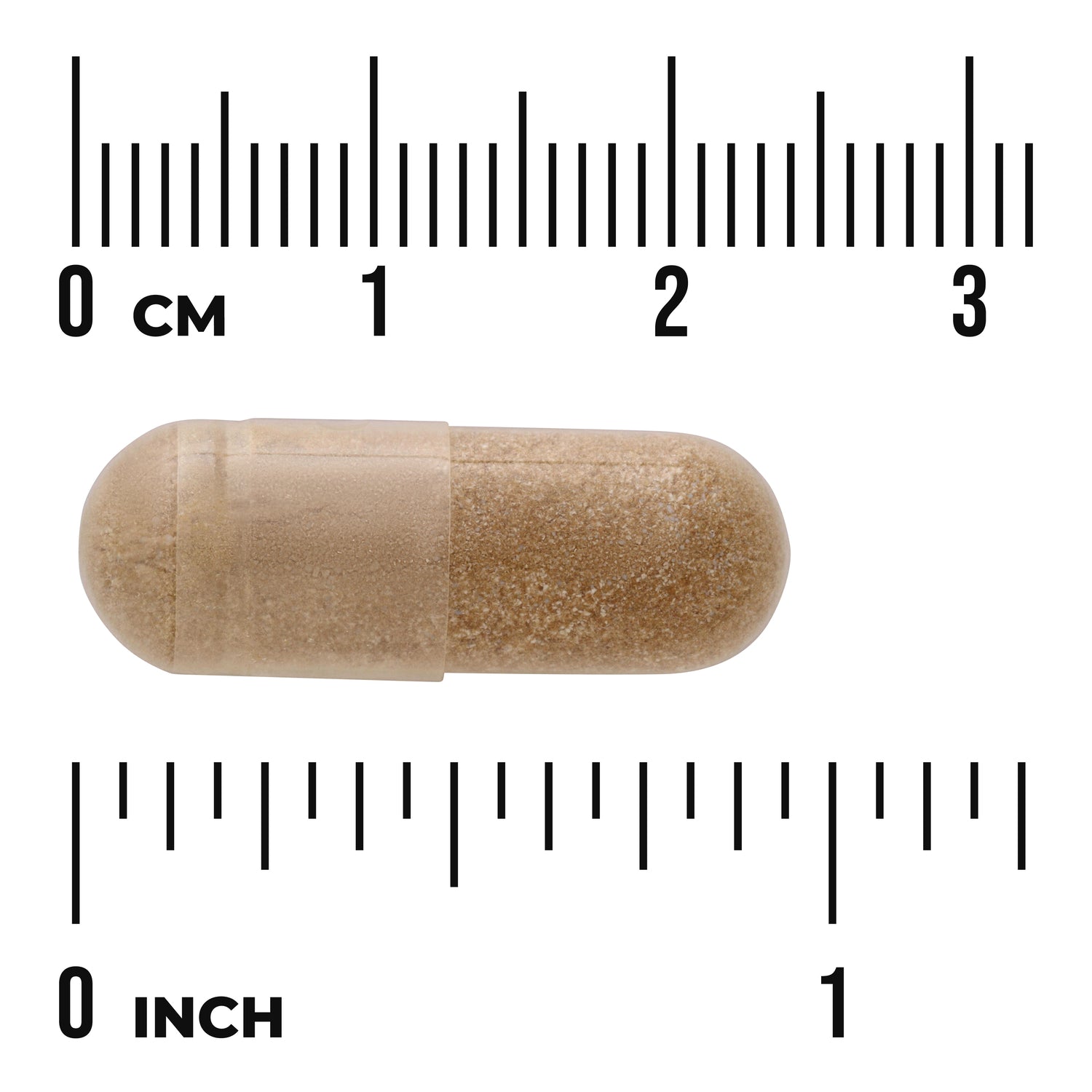 SW1505 | Brown capsule shown with centimeter and inch ruler for size reference