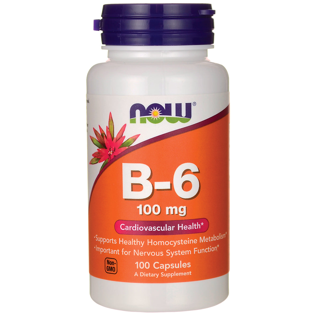 NWF796 | NOW B-6 100 mg supplement bottle, front label showing brand and 100 capsules