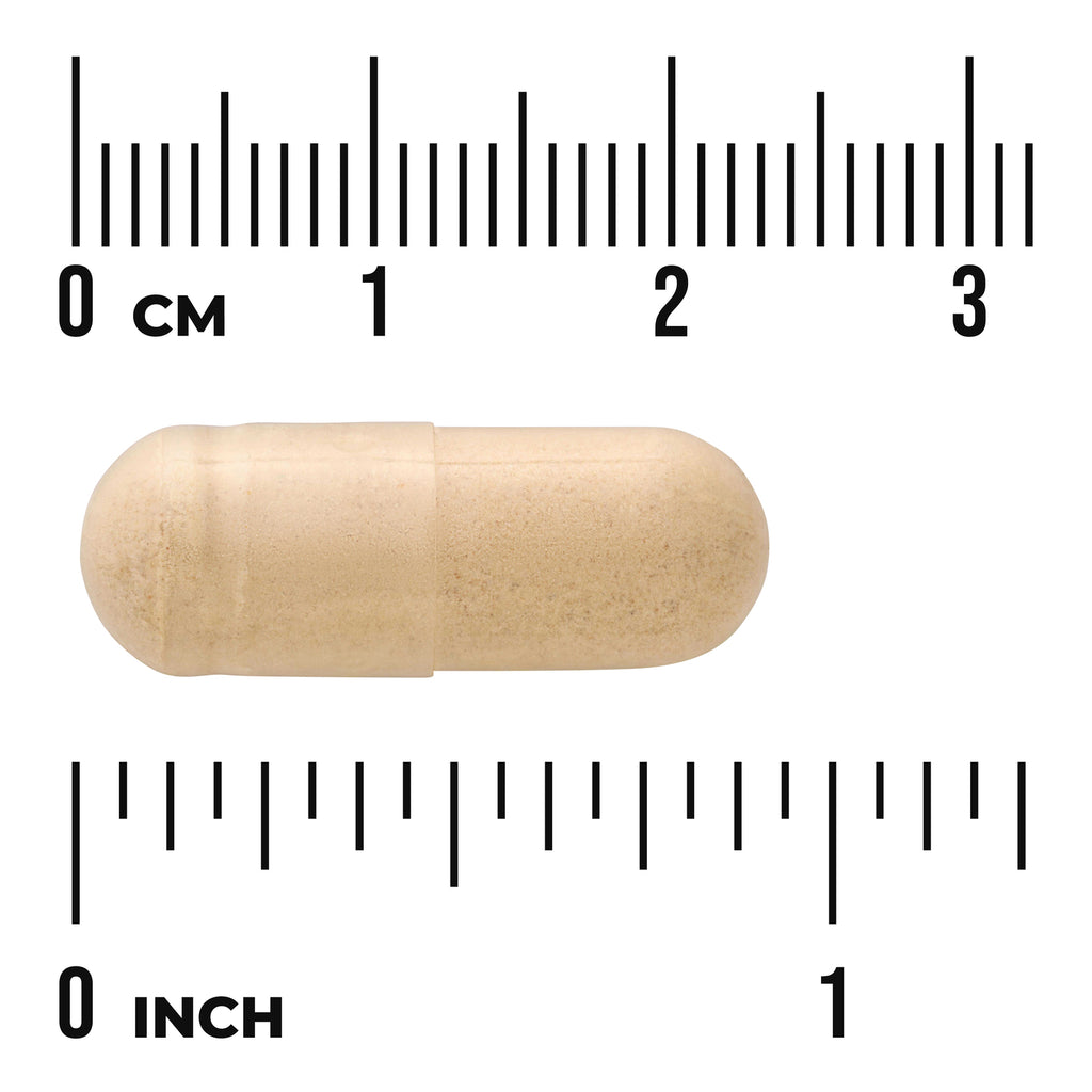 SW969 | Beige capsule shown with size guide in centimeters and inches - Thumbnail