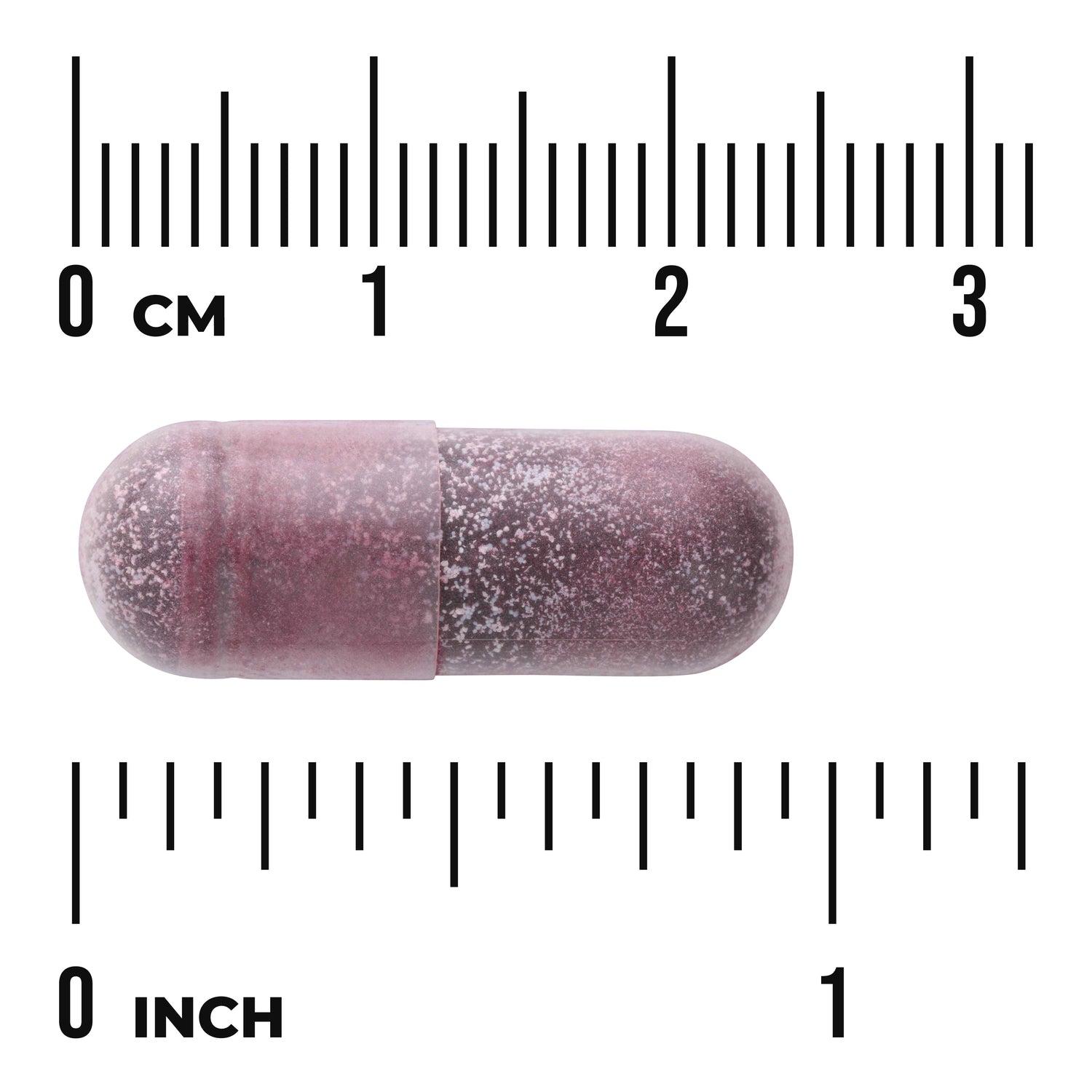 SWH256 | Purple capsule size shown with cm and inch ruler