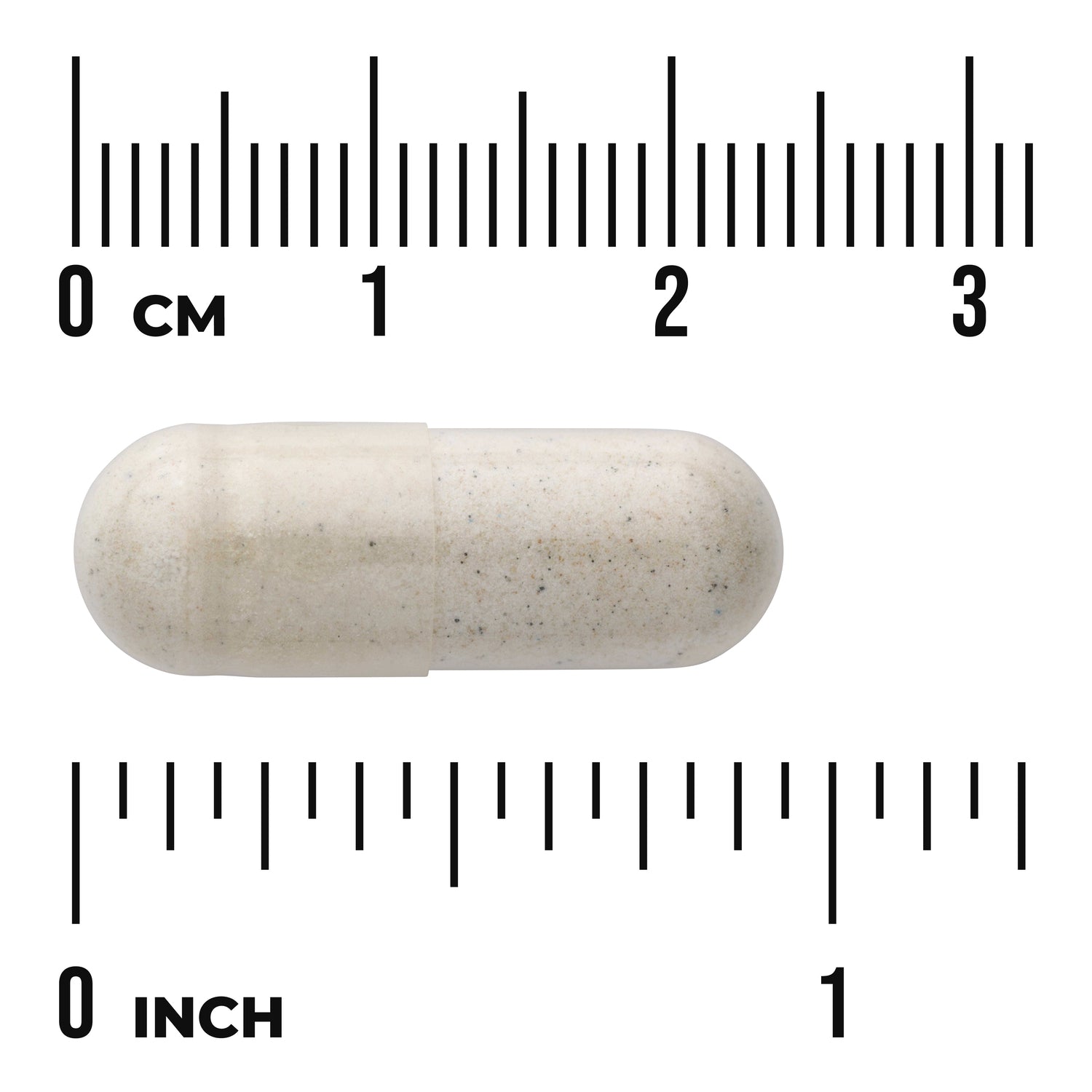 SWU685 | White speckled capsule centered on ruler showing about 2.5 cm length with cm and inch markings
