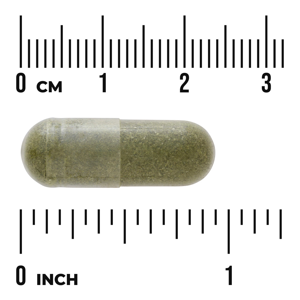 SWR050 | Size reference of green capsule with centimeter and inch rulers - Thumbnail