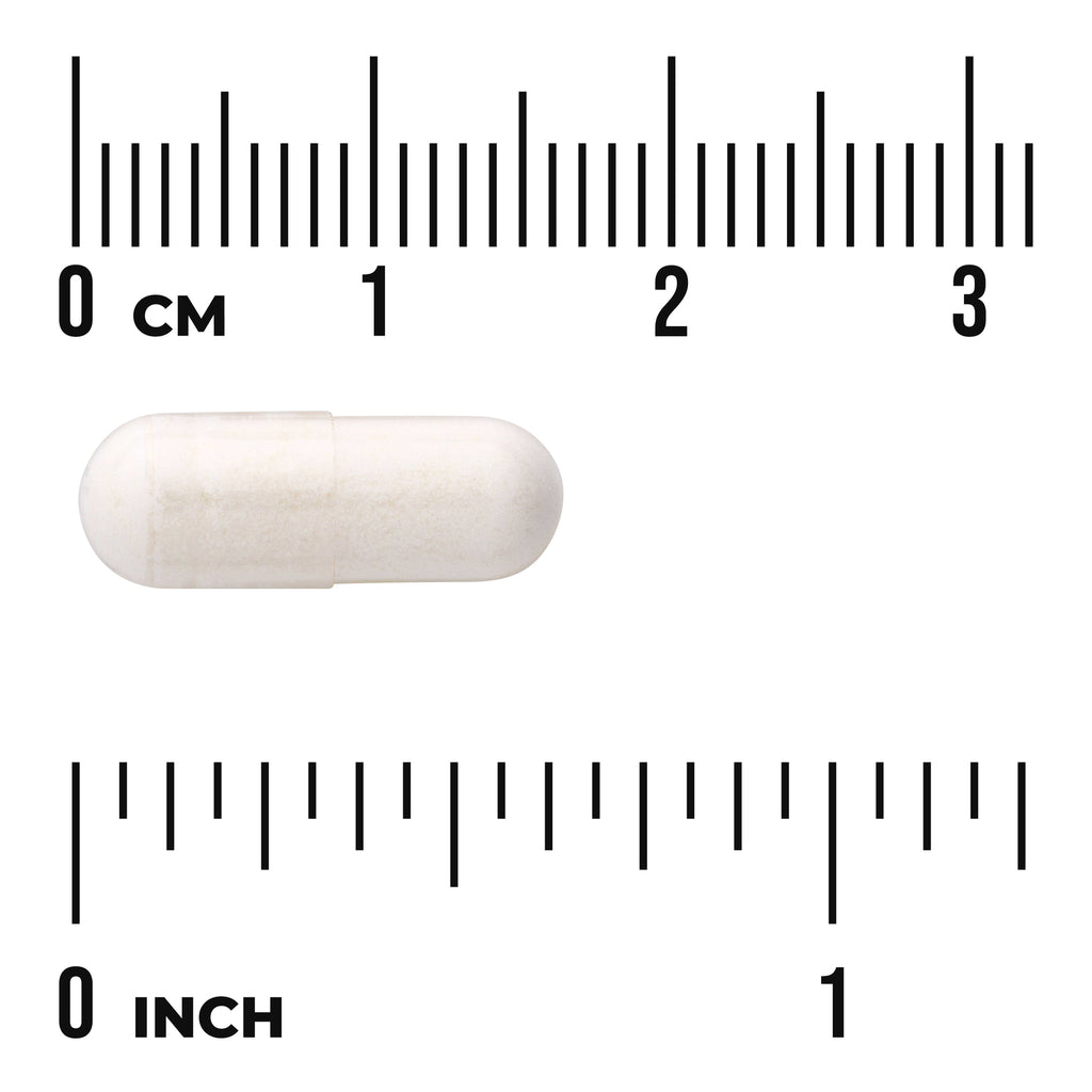 SW1210 | White capsule shown with rulers marked 03 cm and 01 inch - Thumbnail