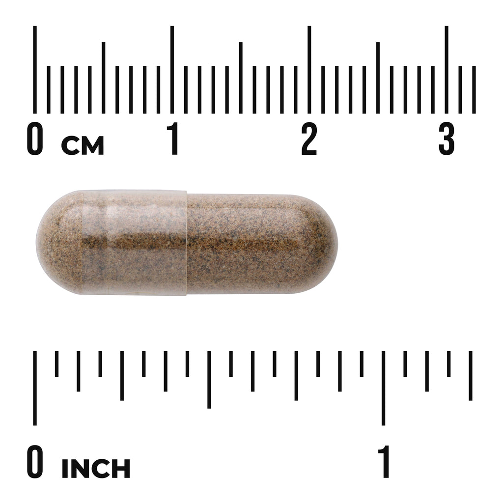 SWH039 | Clear two-piece capsule filled with brown powder shown next to centimeter and inch rulers for size reference - Thumbnail
