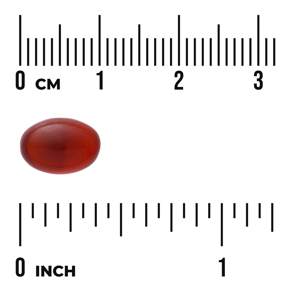 SWU526 | Red softgel capsule beside rulers in centimeters and inches for size reference - Thumbnail
