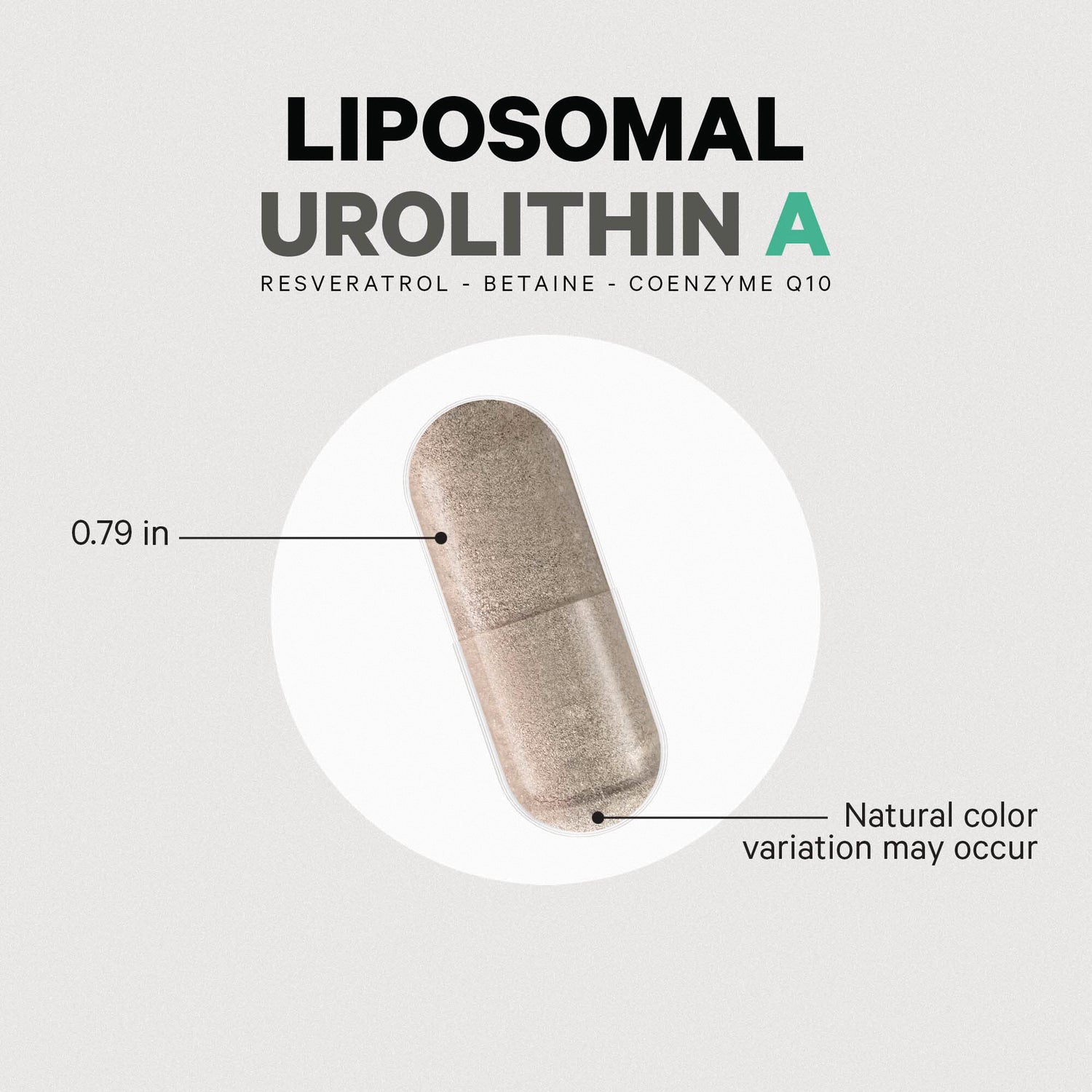 CDG020 | Liposomal Urolithin A capsule 0.79 in long, natural color variation may occur