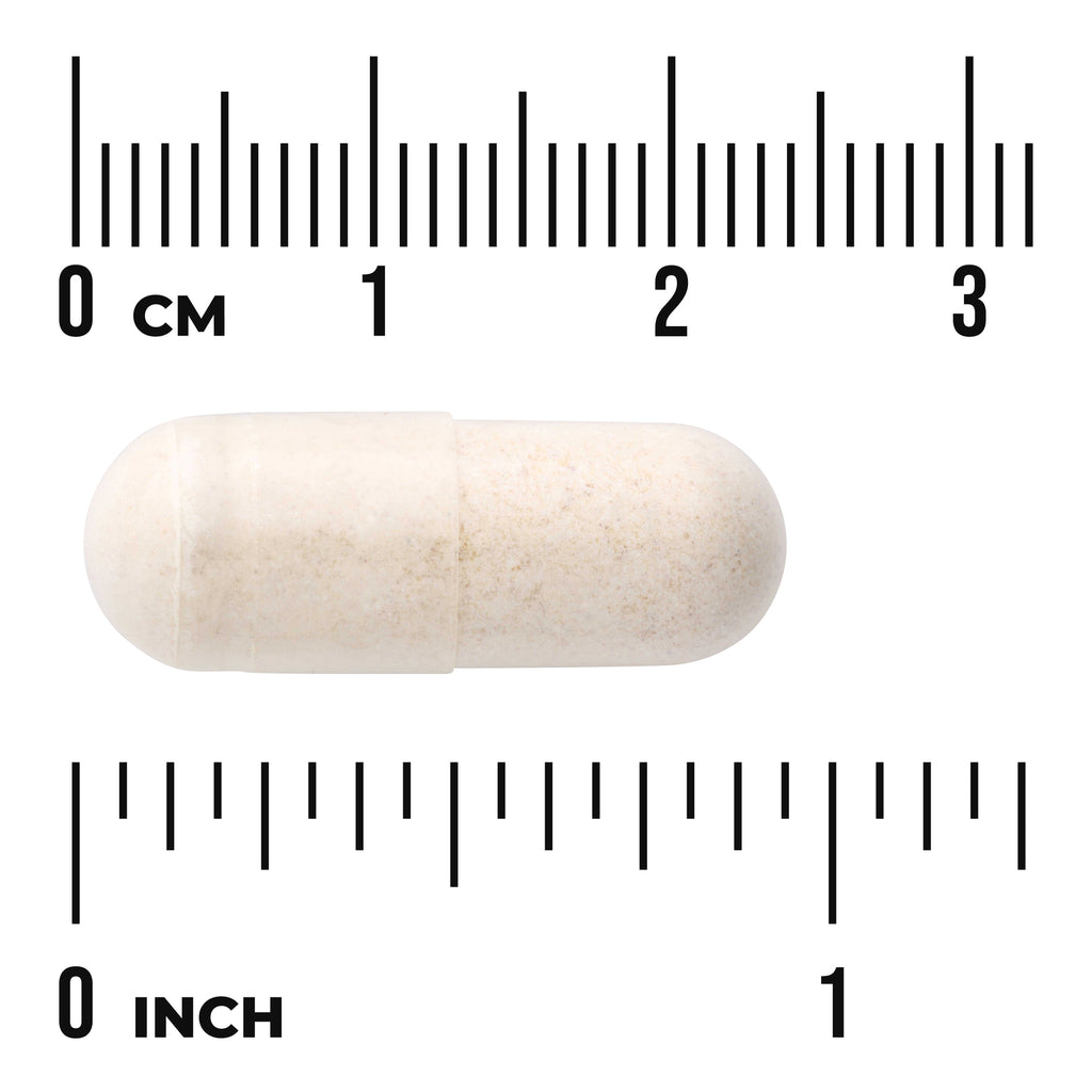 SWH010 | Beige capsule shown next to centimeter and inch rulers for size reference - Thumbnail