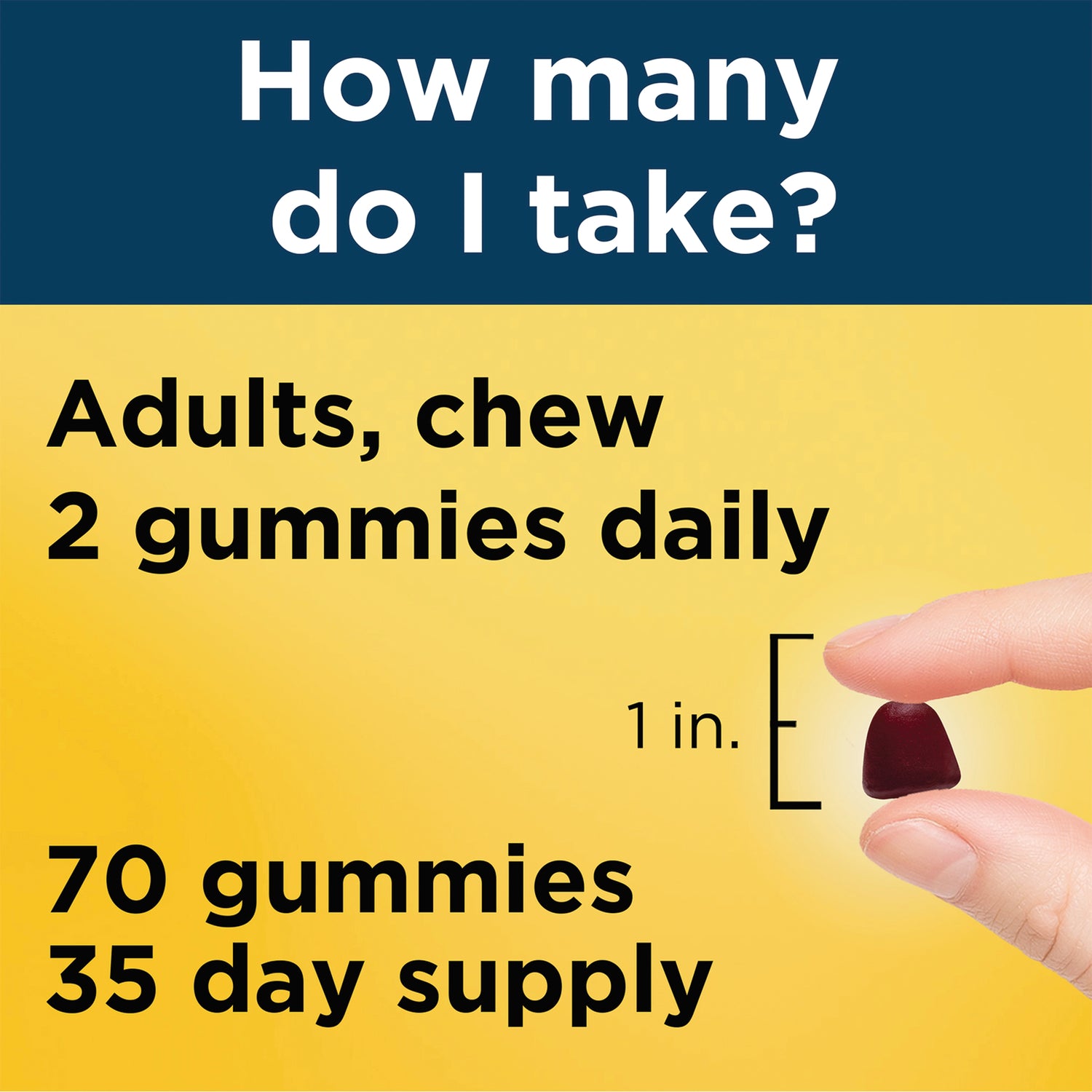 NTM139 | Adults, chew 2 gummies daily; 70 gummies 35 day supply; finger holding gummy next to 1 in. scale