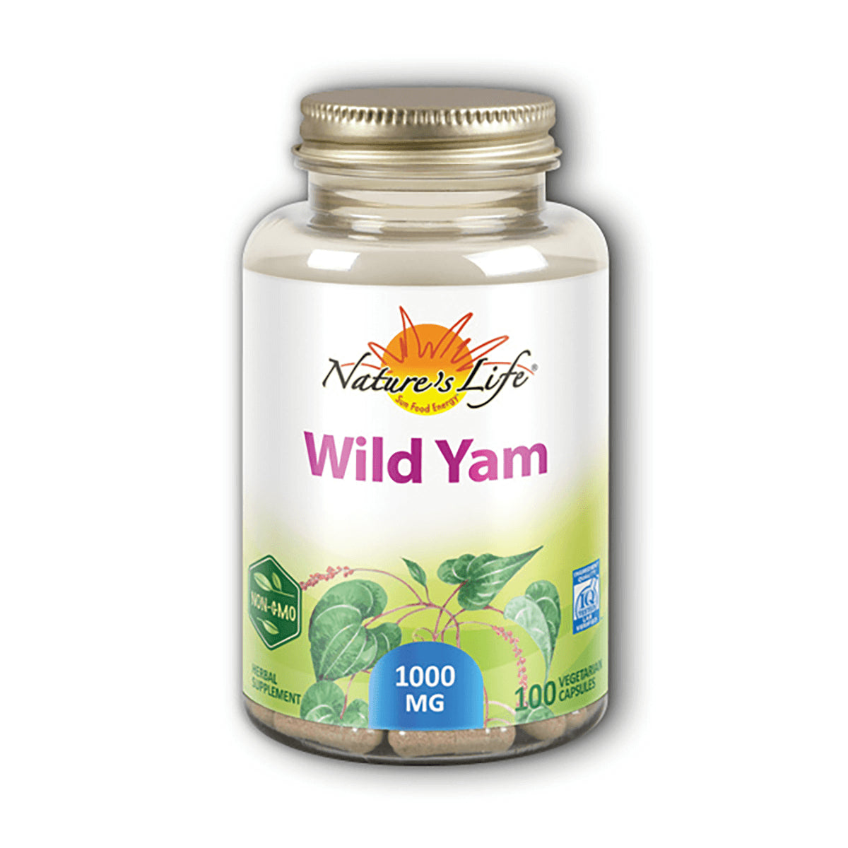 ZA198 | Nature's Life Wild Yam supplement bottle, 1000 mg, 100 vegetarian capsules, Non-GMO front label