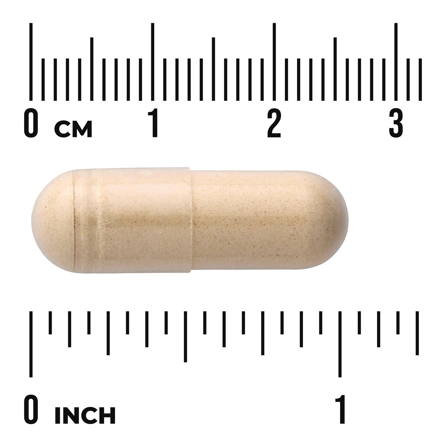 SW1559 | Beige capsule shown to scale with cm and inch rulers