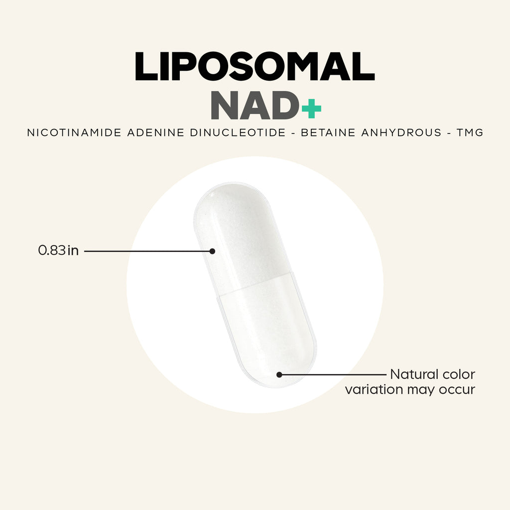 CDG067 | product infographic showing white capsules in a transparent cube and headline Rigorous Testing for Excellence - Thumbnail