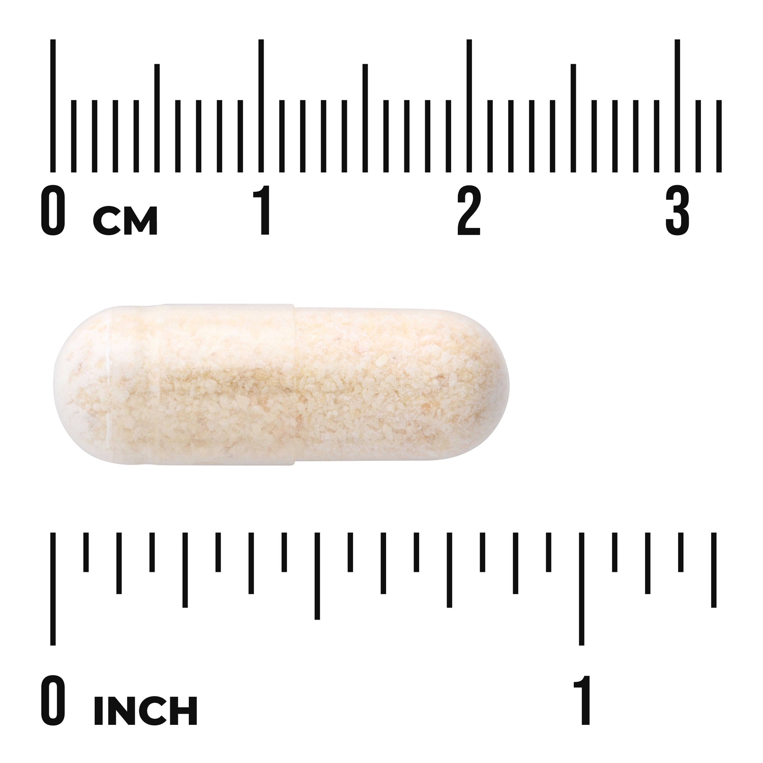 SW1263 | White capsule filled with beige powder on ruler background showing cm and inch size reference