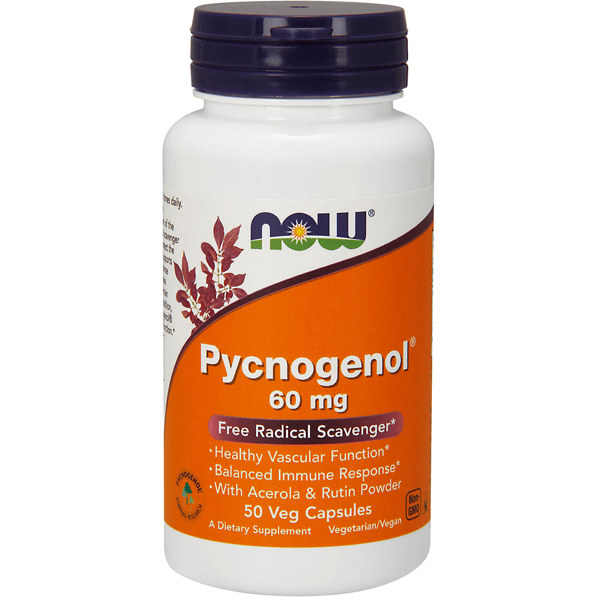 NWF1333 | NOW Pycnogenol 60 mg bottle, 50 veg capsules, orange label