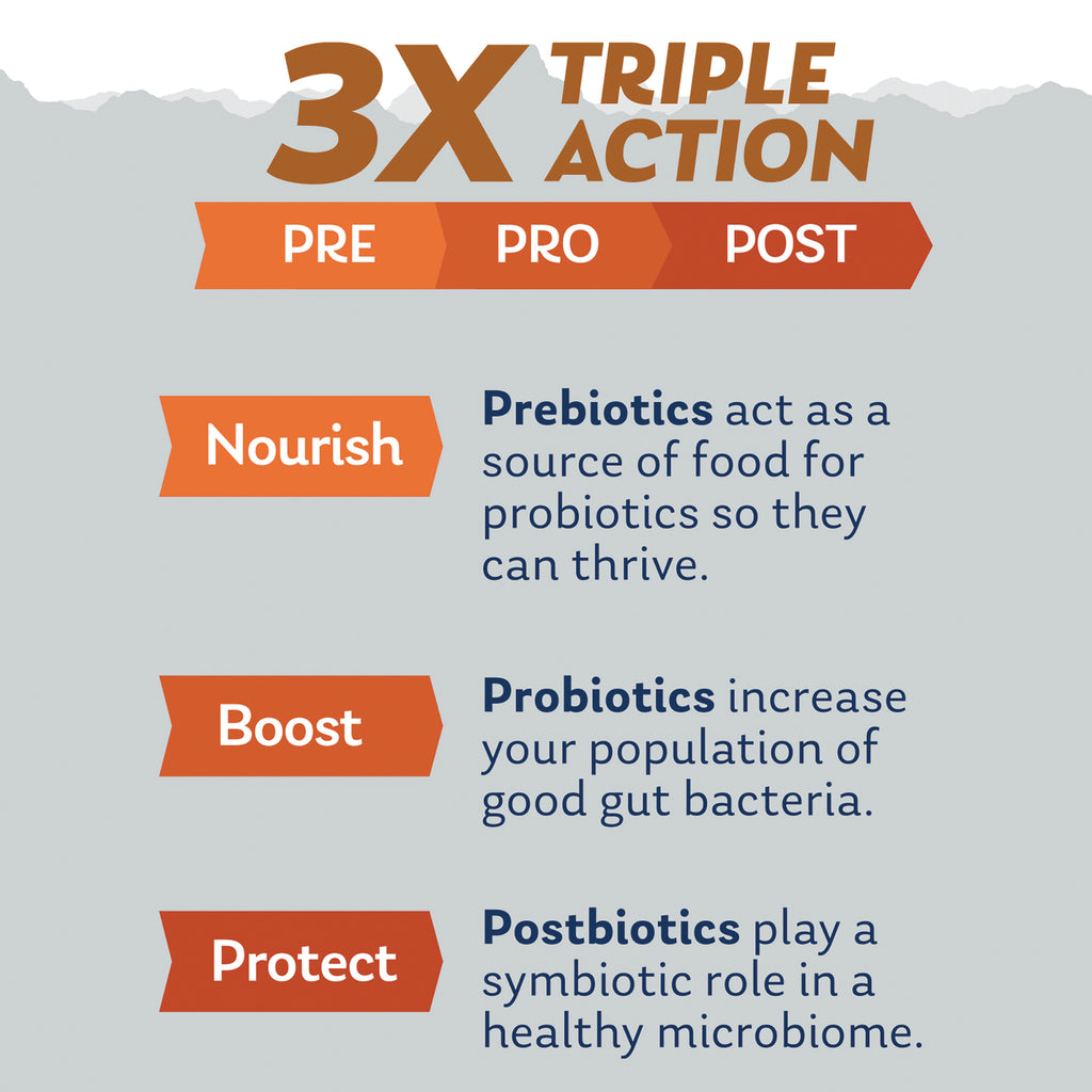 SLR532 | 3X Triple Action PRE PRO POST infographic: Nourish, Boost, Protect with prebiotics, probiotics, postbiotics - Thumbnail