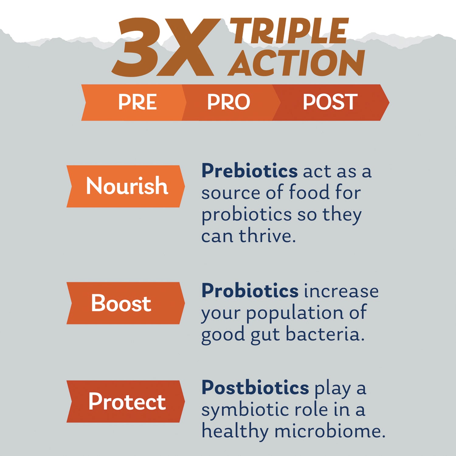 SLR532 | 3X Triple Action PRE PRO POST infographic: Nourish, Boost, Protect with prebiotics, probiotics, postbiotics