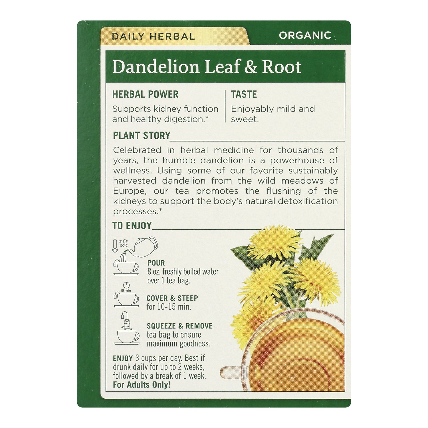 TMD047 | Back panel of Dandelion Leaf & Root organic herbal tea with brewing directions and dandelion illustration