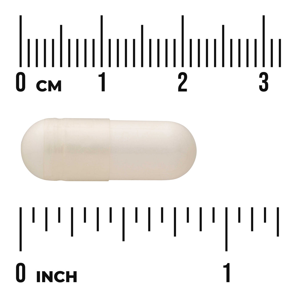 SWU928 | Capsule size shown against centimeter and inch rulers - Thumbnail