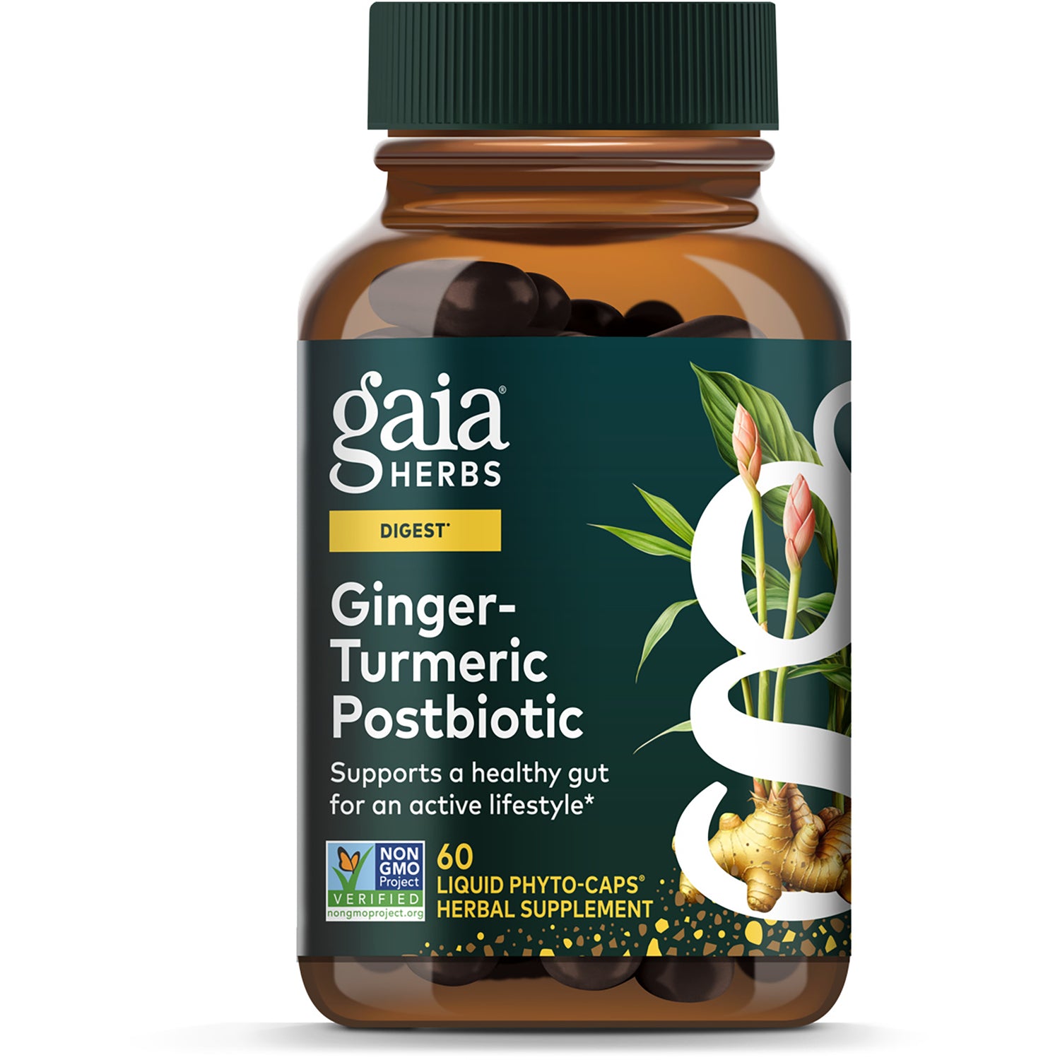 GH165 | Gaia Herbs Ginger-Turmeric Postbiotic front box showing product name from fermented ginger and turmeric, 60 vegan liquid phyto-caps