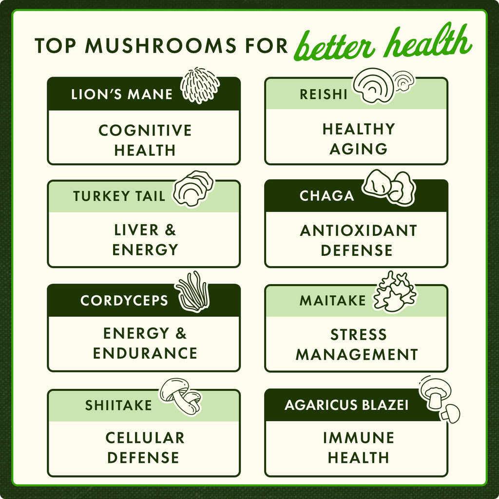 SWH150 | TOP MUSHROOMS FOR better health lion’s mane cognitive health healthy aging turkey tail liver and energy chaga antioxidant defense cordyceps energy and endurance maitake stress management - Thumbnail