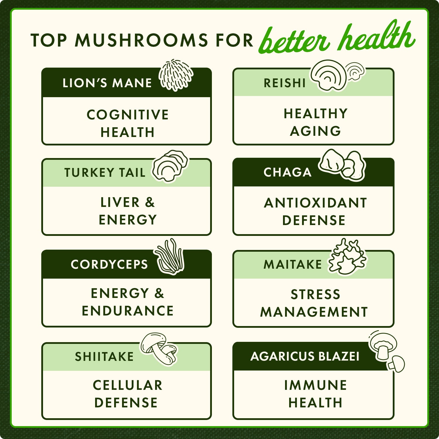 SWH150 | TOP MUSHROOMS FOR better health lion’s mane cognitive health healthy aging turkey tail liver and energy chaga antioxidant defense cordyceps energy and endurance maitake stress management