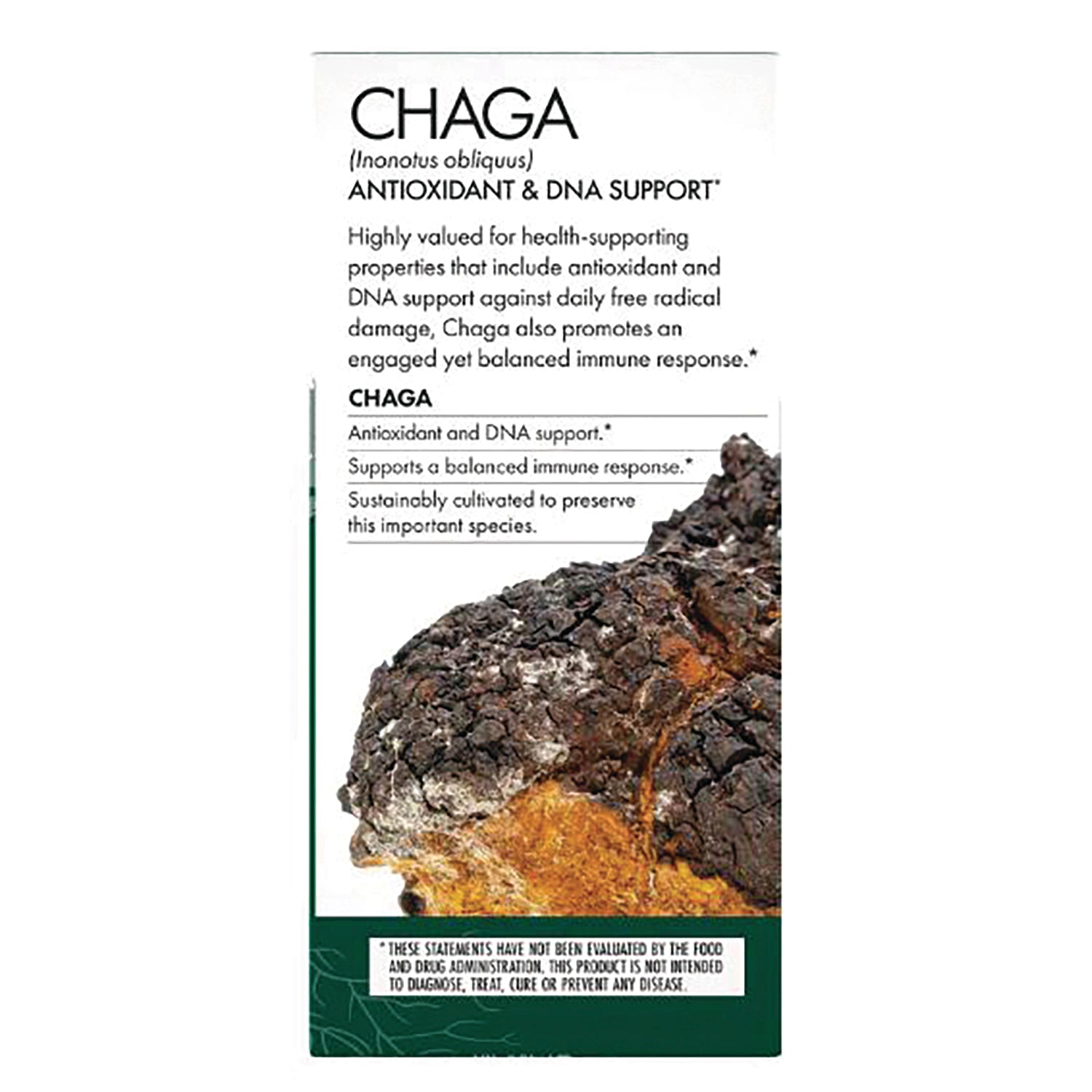 FUN012 | product infographic labeled CHAGA with chaga mushroom image and benefits for antioxidant and DNA support