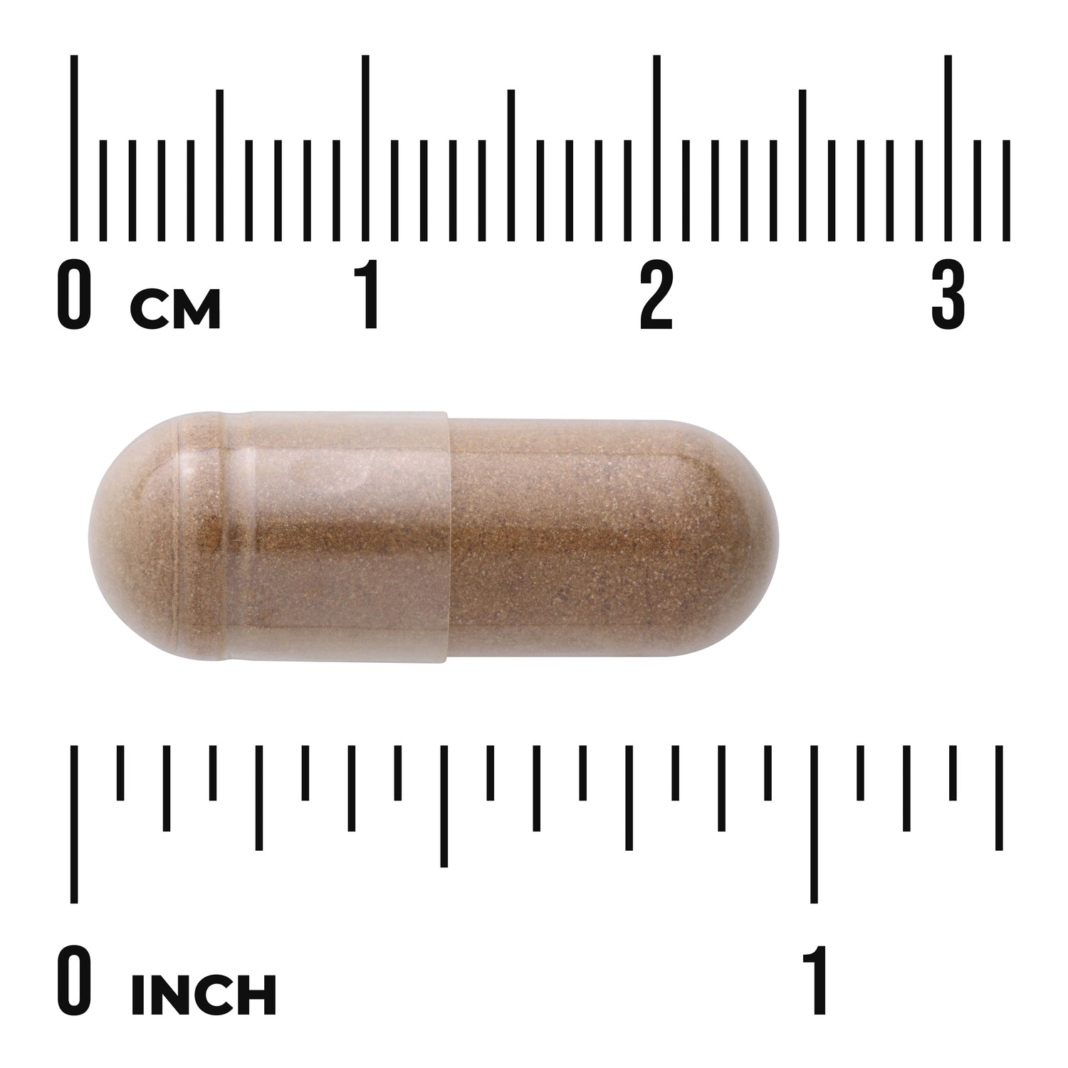 SW533 | Brown capsule shown against cm and inch rulers for size reference