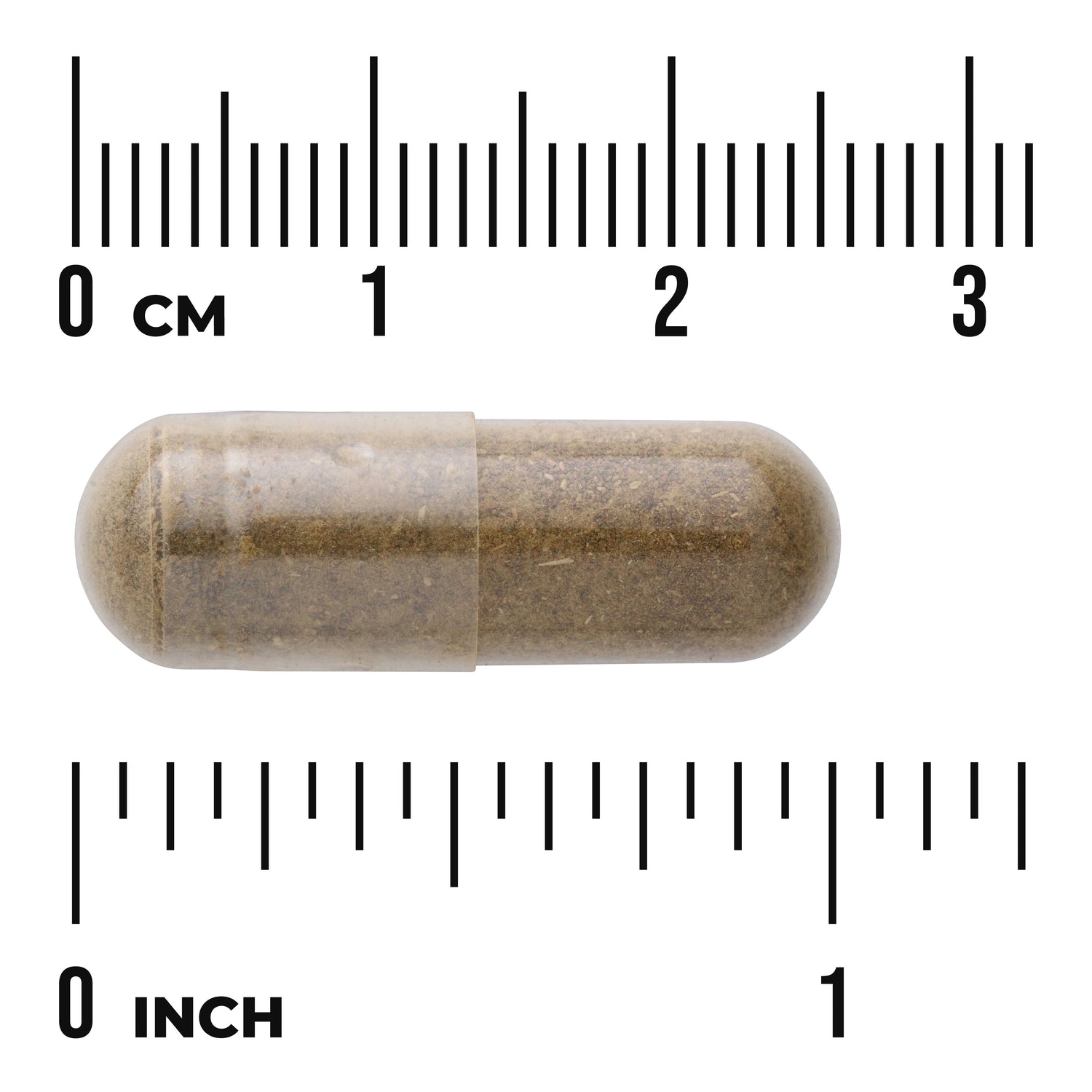 SW532 | Brown capsule shown next to cm and inch rulers for size reference
