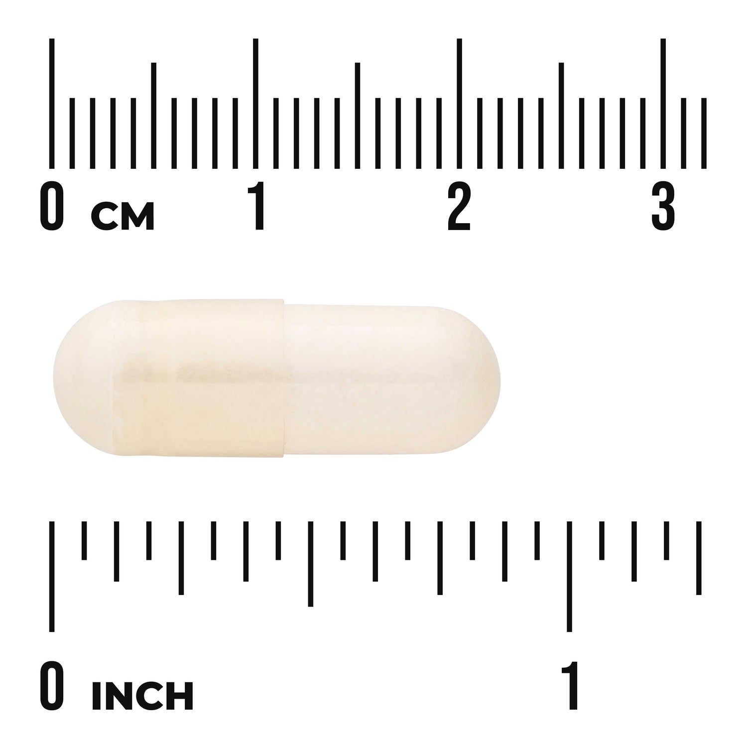 SWU1106 | Capsule size reference with 03 cm and 01 inch rulers