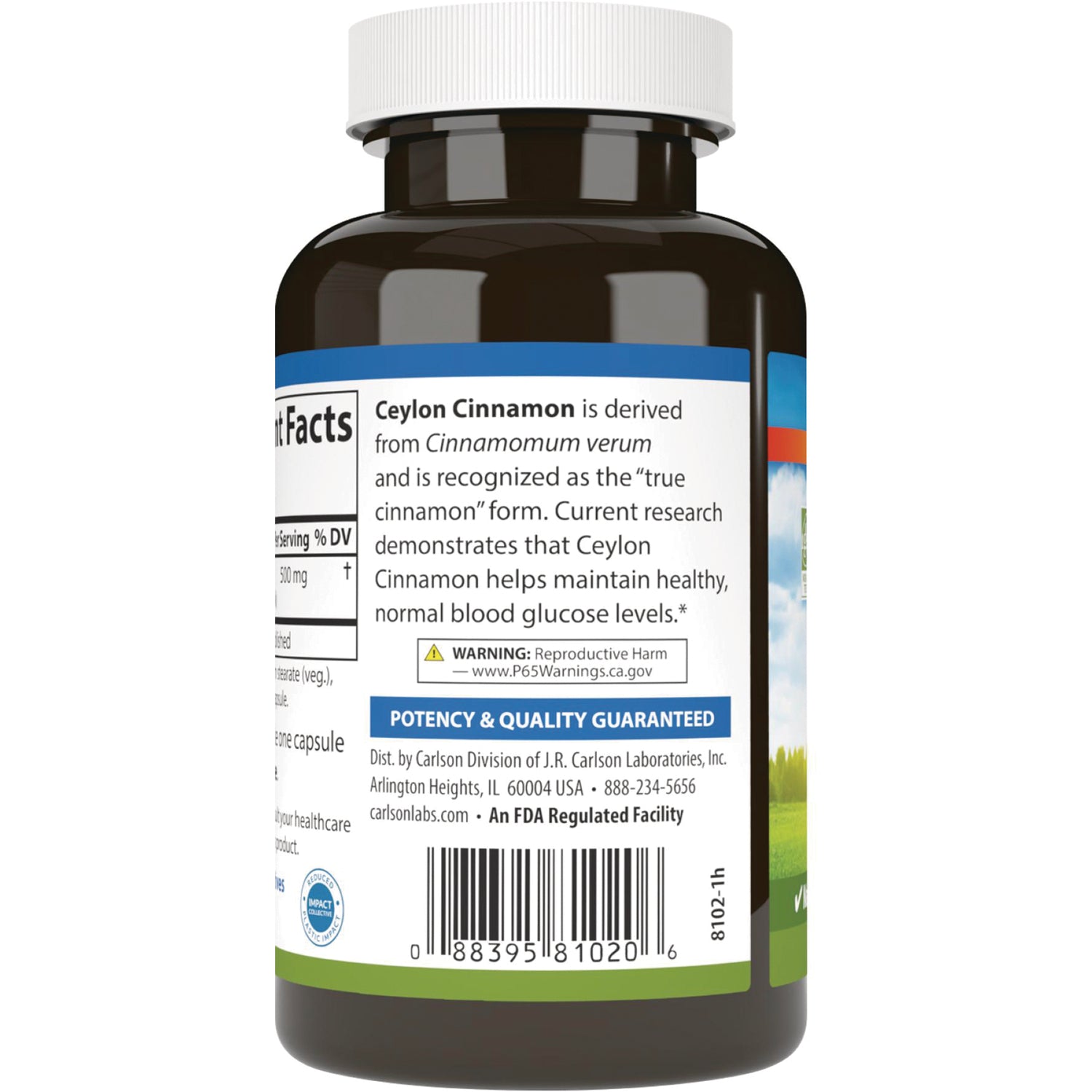 CSN221 | Back label of brown supplement bottle showing Ceylon Cinnamon description, warning, potency guarantee and barcode