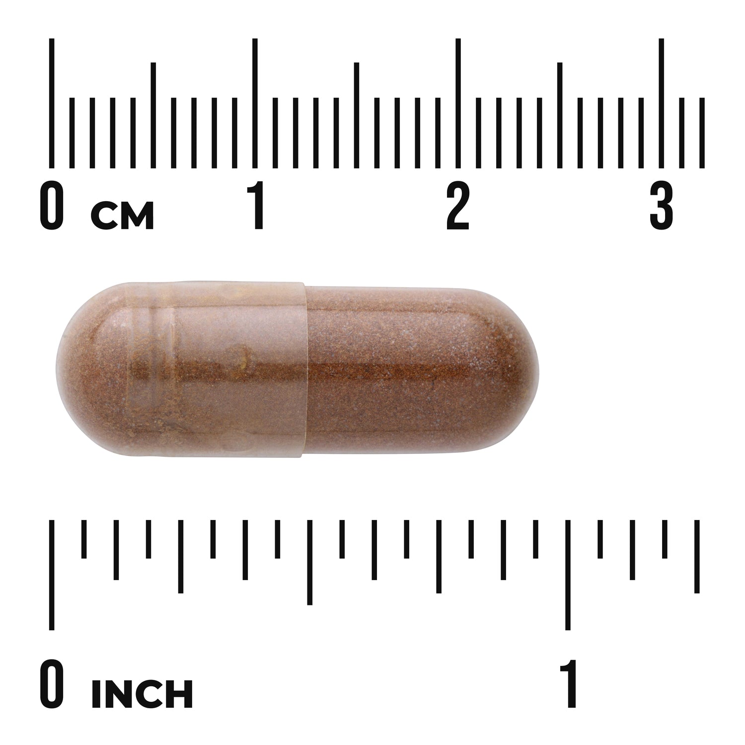 SW1036 | Brown capsule with size shown against inch and cm rulers