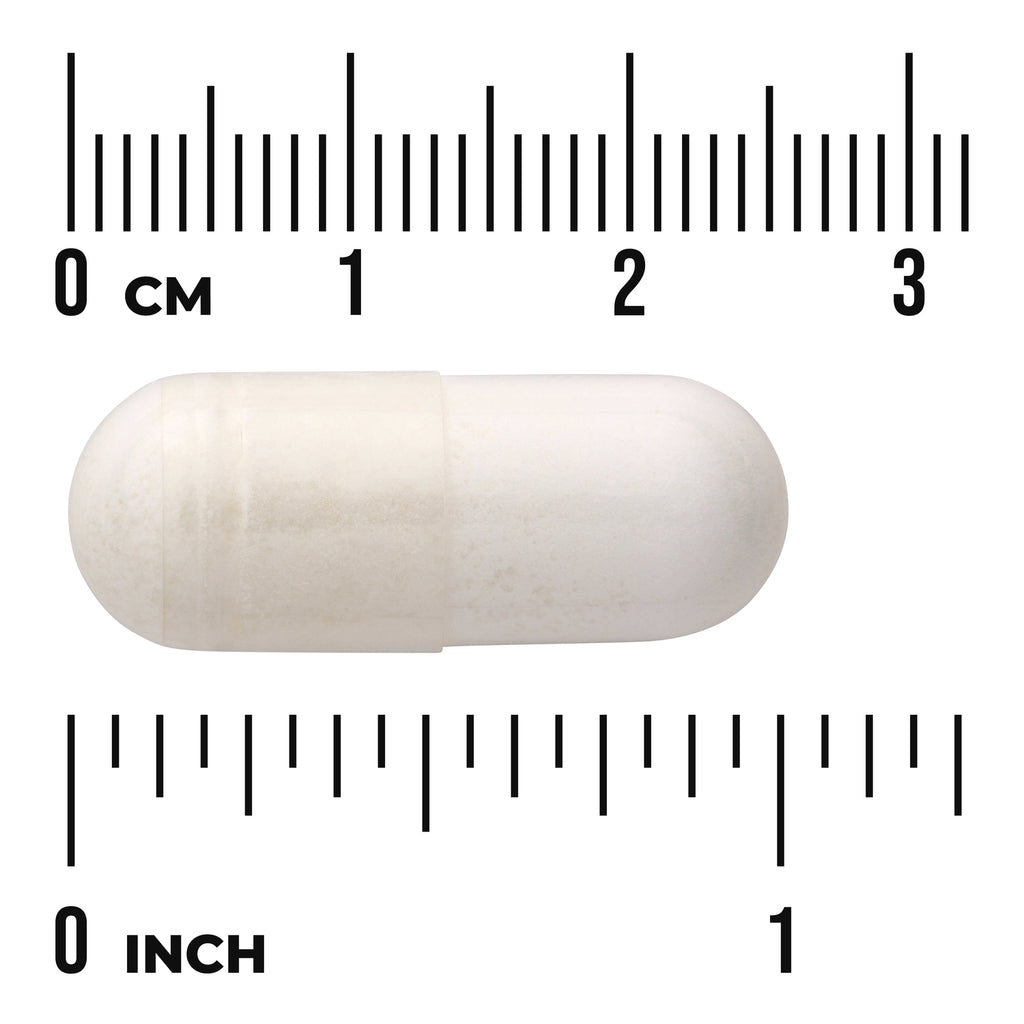 SWU139 | White two-piece capsule centered between centimeter and inch rulers showing size - Thumbnail