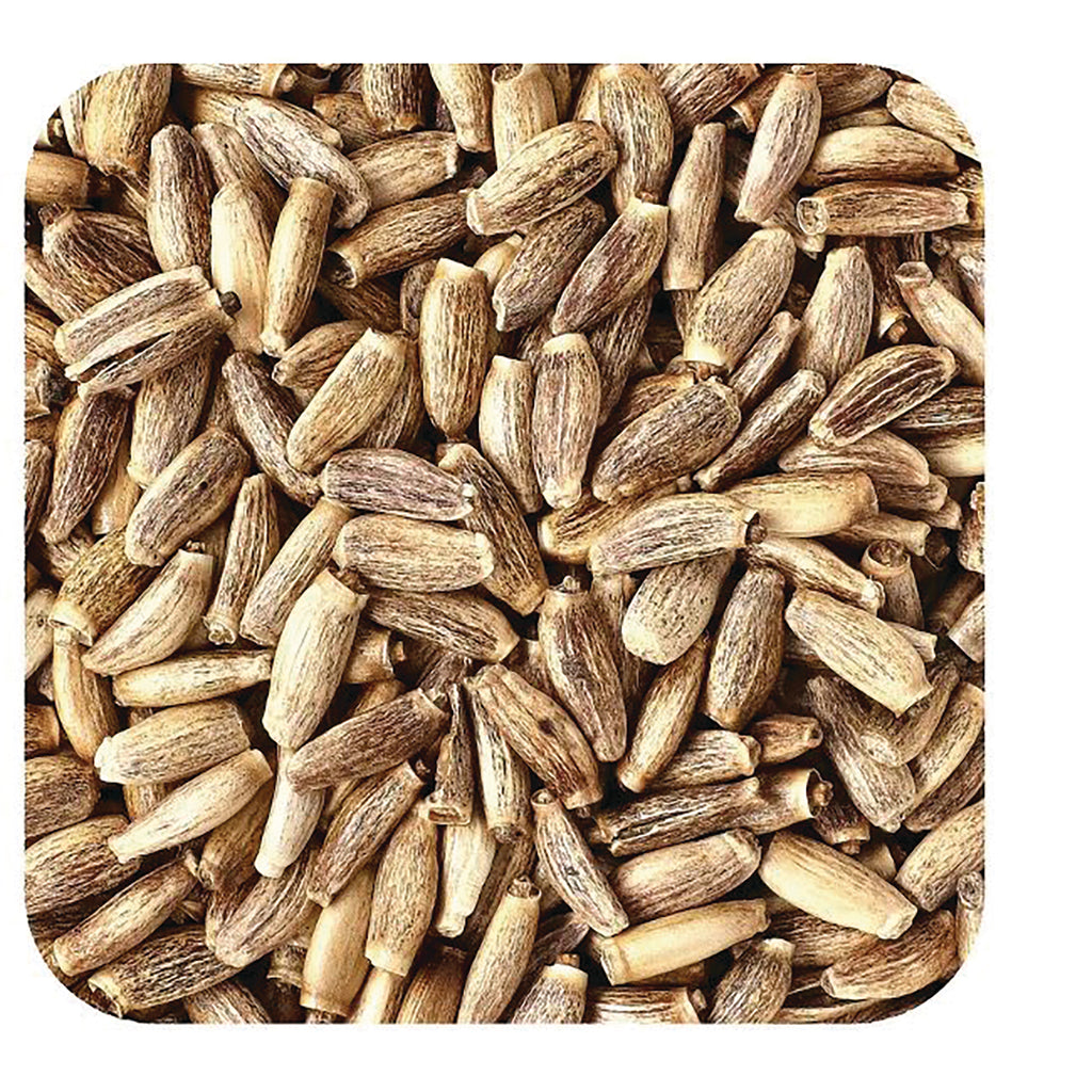 STB026 | Close-up of milk thistle seeds - Thumbnail