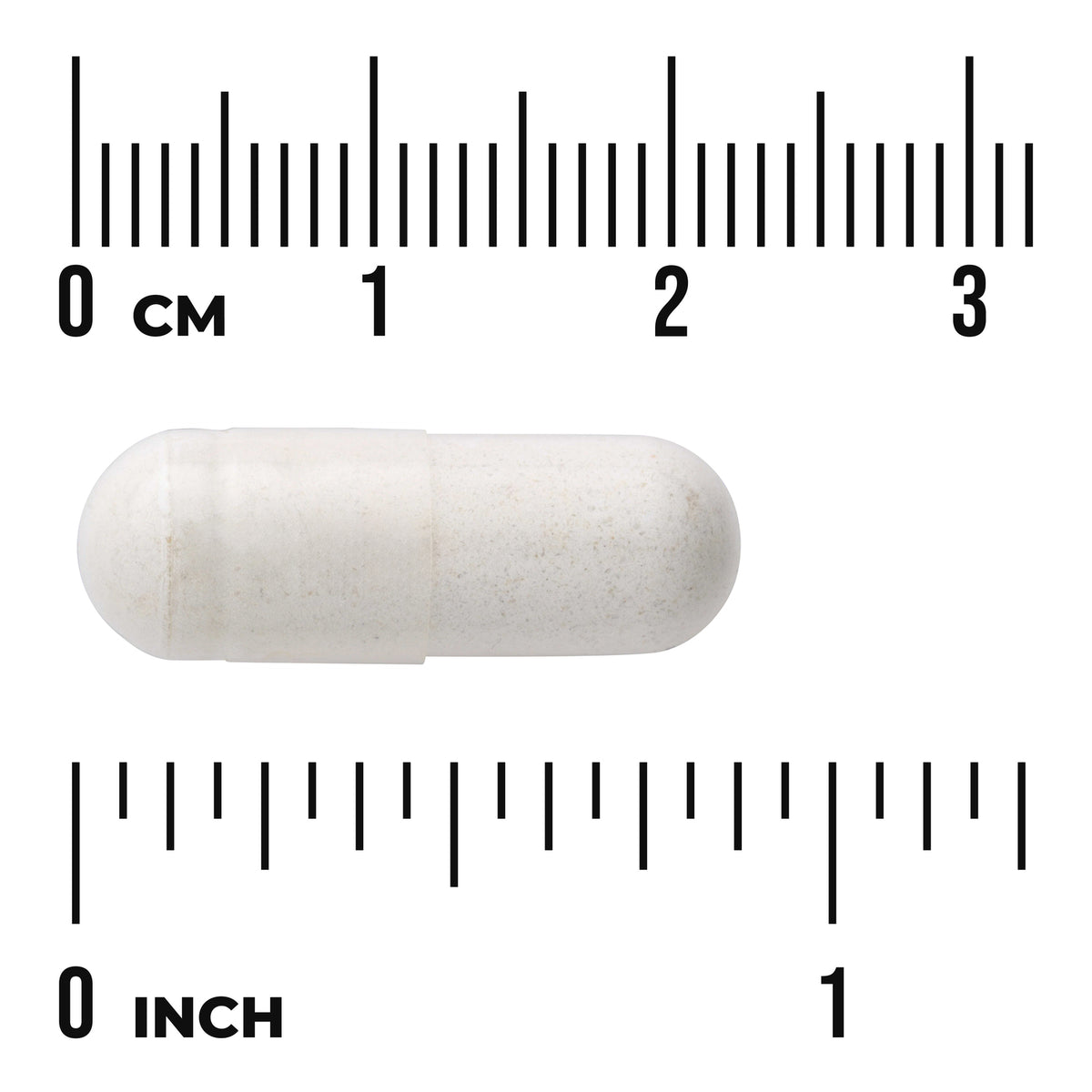 SW1291 | white two-piece capsule on centimeter and inch rulers showing size