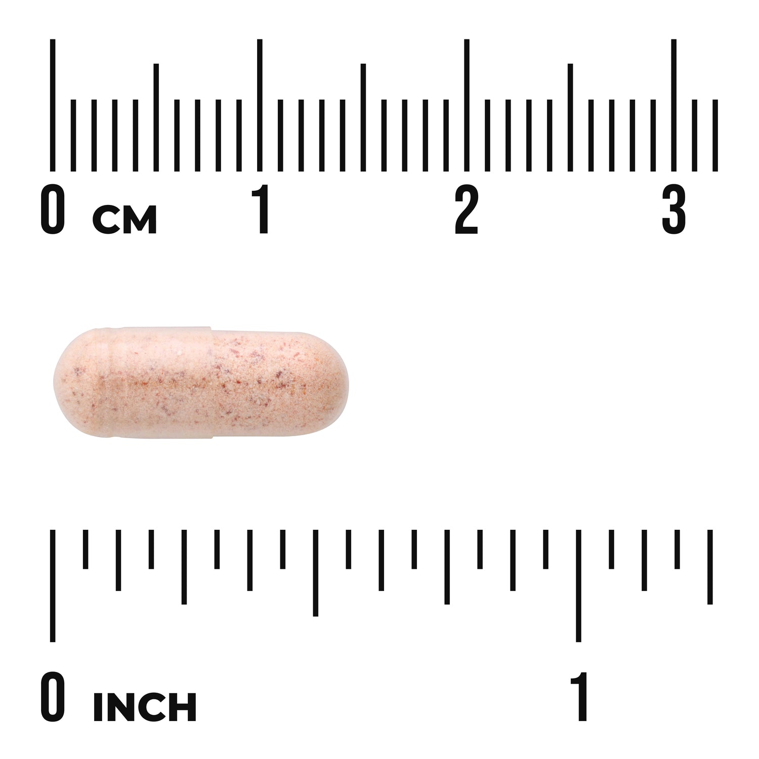 SW1370 | Beige speckled capsule on centimeter and inch rulers showing about 1 inch length