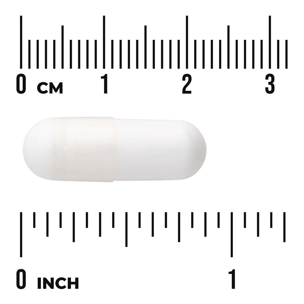 SW1028 | White capsule shown with centimeter and inch rulers for size reference - Thumbnail