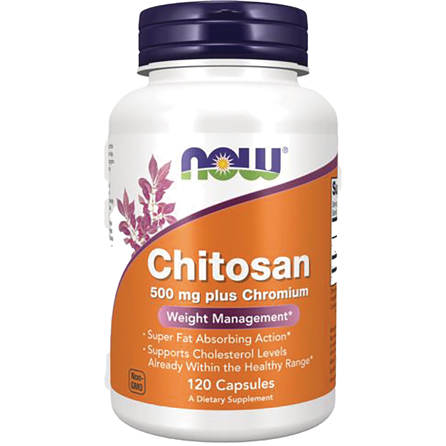NWF731 | NOW Chitosan 500 mg plus Chromium dietary supplement bottle, 120 capsules, orange label
