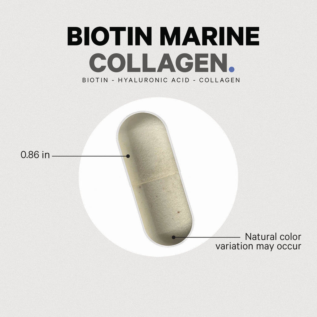 CDG027 | product infographic showing Biotin Marine Collagen capsule labeled 0.86 in and note natural color variation may occur - Thumbnail
