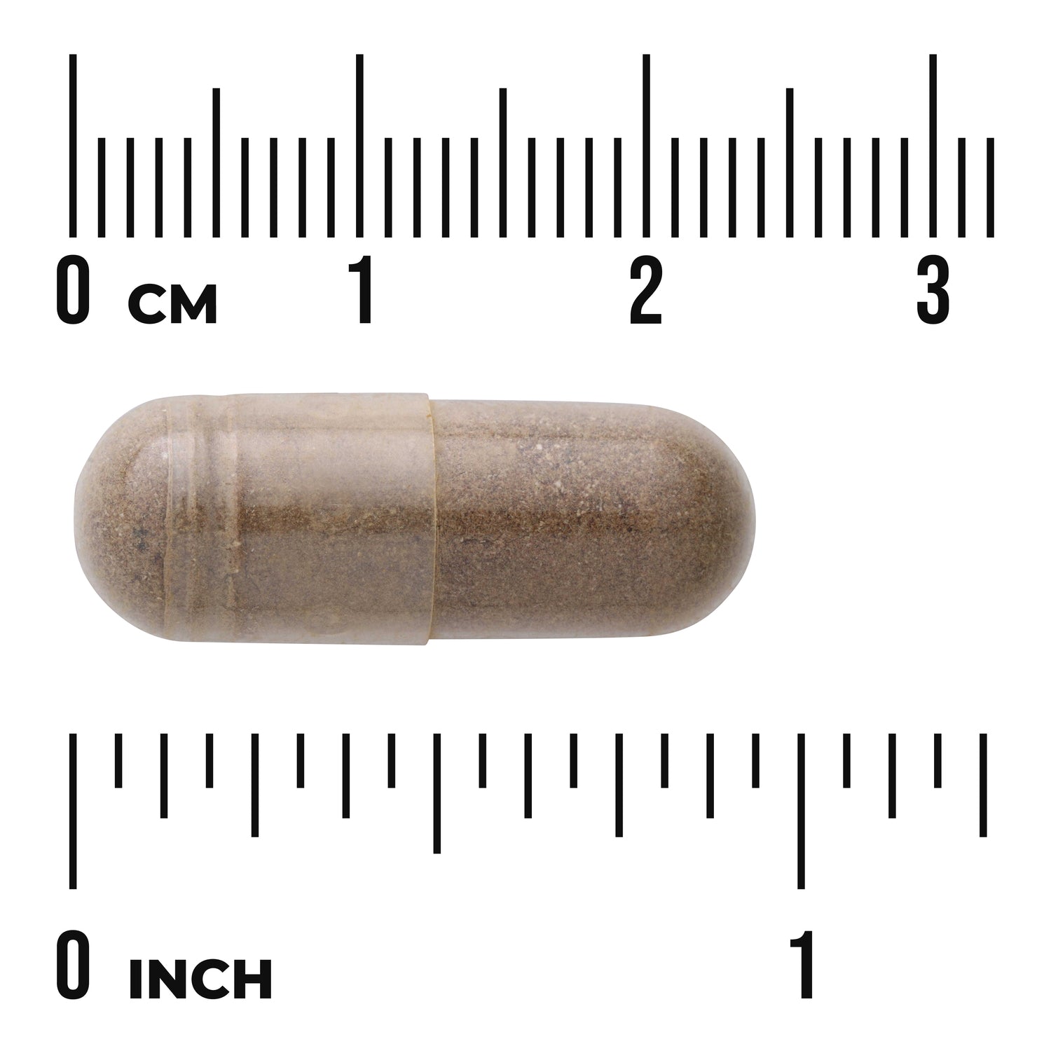 SW324 | Brown capsule with size ruler labeled CM and INCH