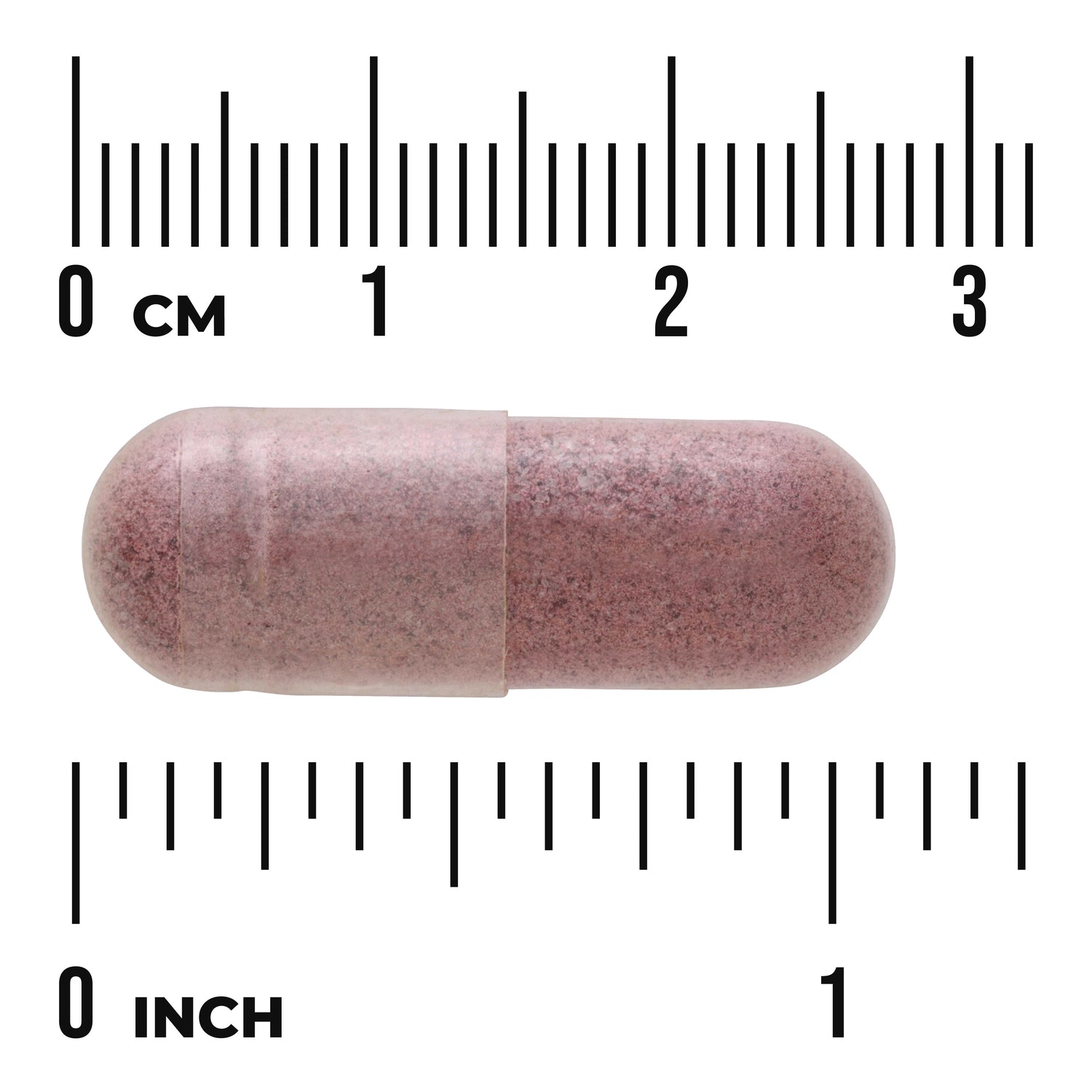 SW1423 | Capsule with cm and inch ruler for size reference